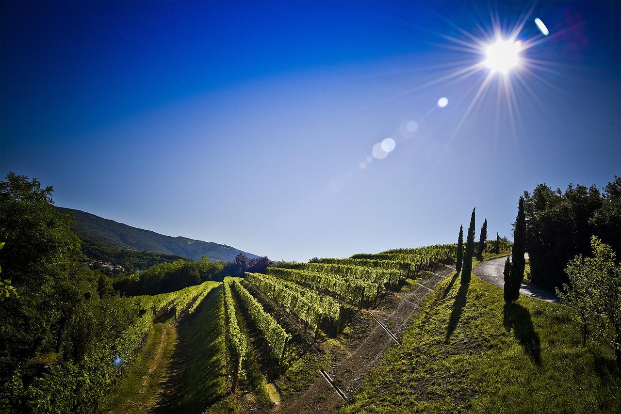 Venica & Venica Wine Resort Dolegna del Collio Exteriér fotografie