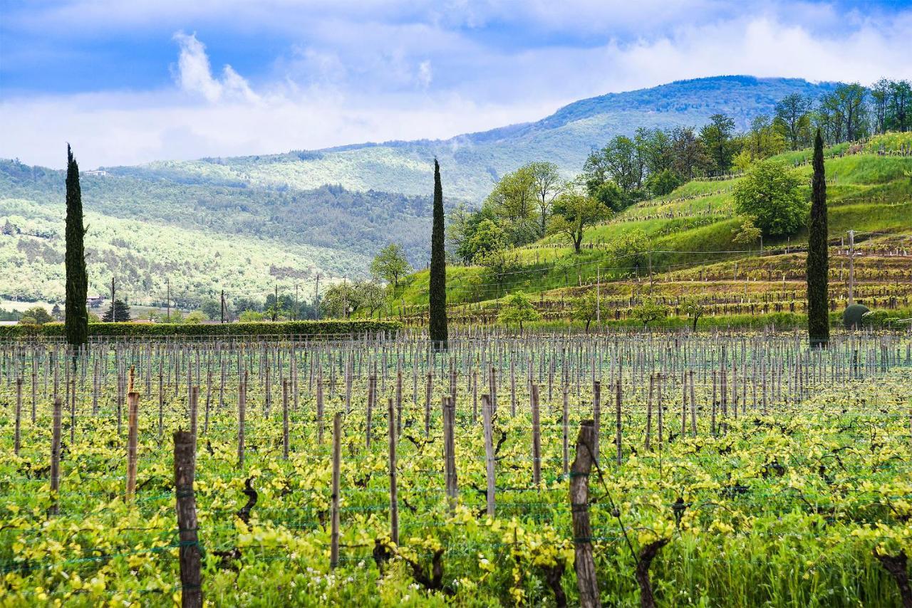 Venica & Venica Wine Resort Dolegna del Collio Exteriér fotografie